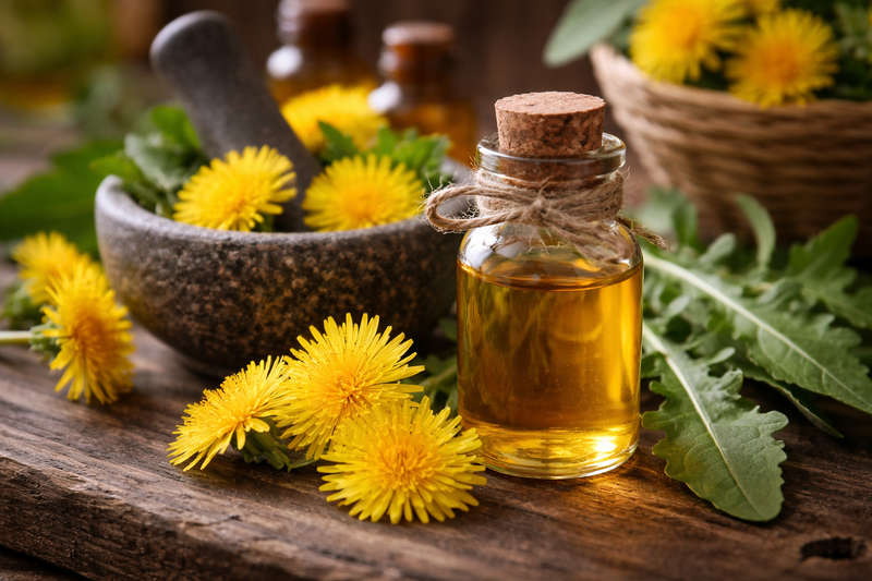 Dandelion Extract